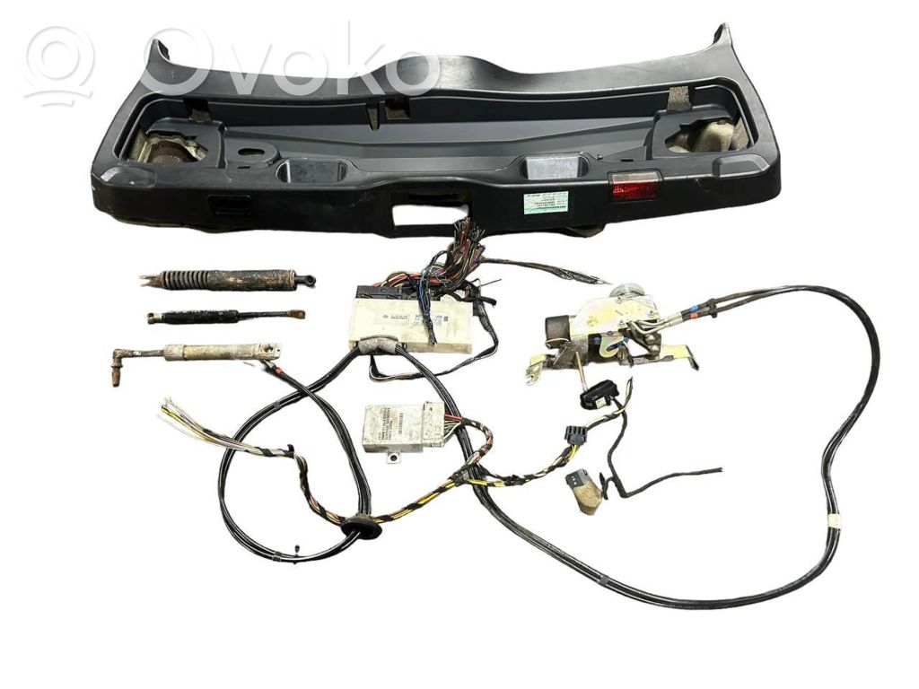 Bagāžnieka dekoratīvā apdare