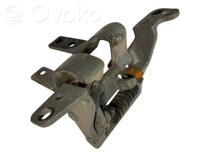 Aizmugurējā pārsega eņģe (-ess)