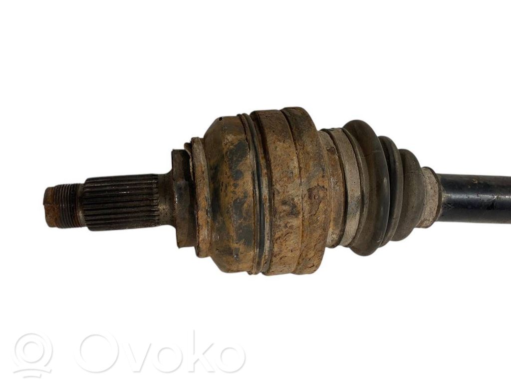 Aizmugurējā pusass