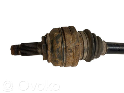 Aizmugurējā pusass