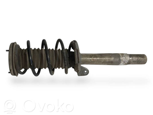Front shock absorber with spring