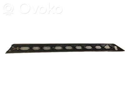 Aizmugurē durvju dekoratīvā apdare (moldings)