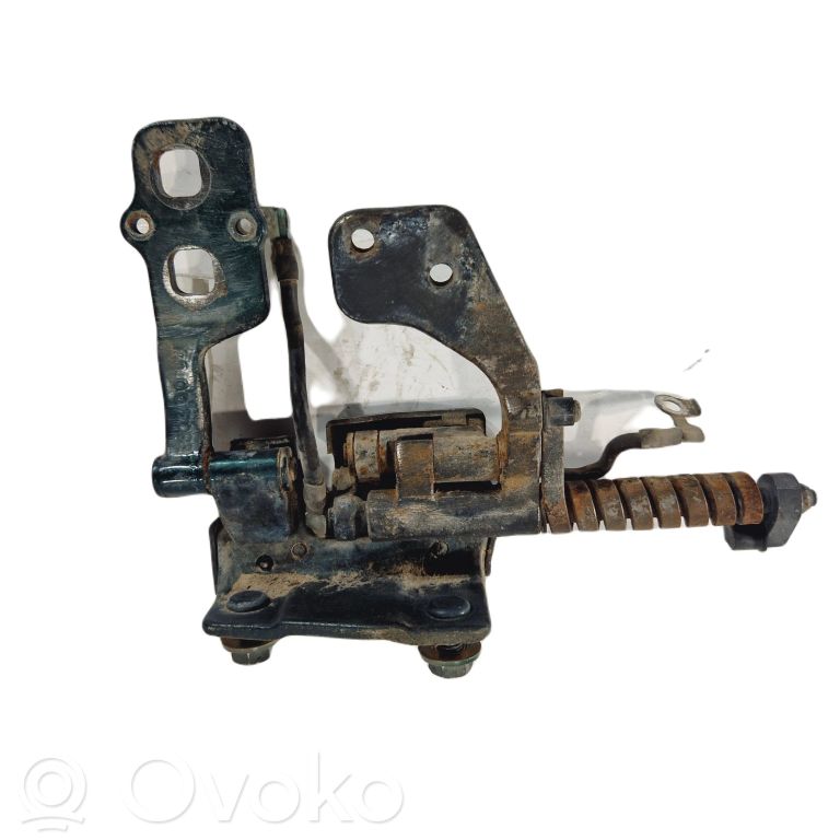 Aizmugurējā pārsega eņģe (-ess)