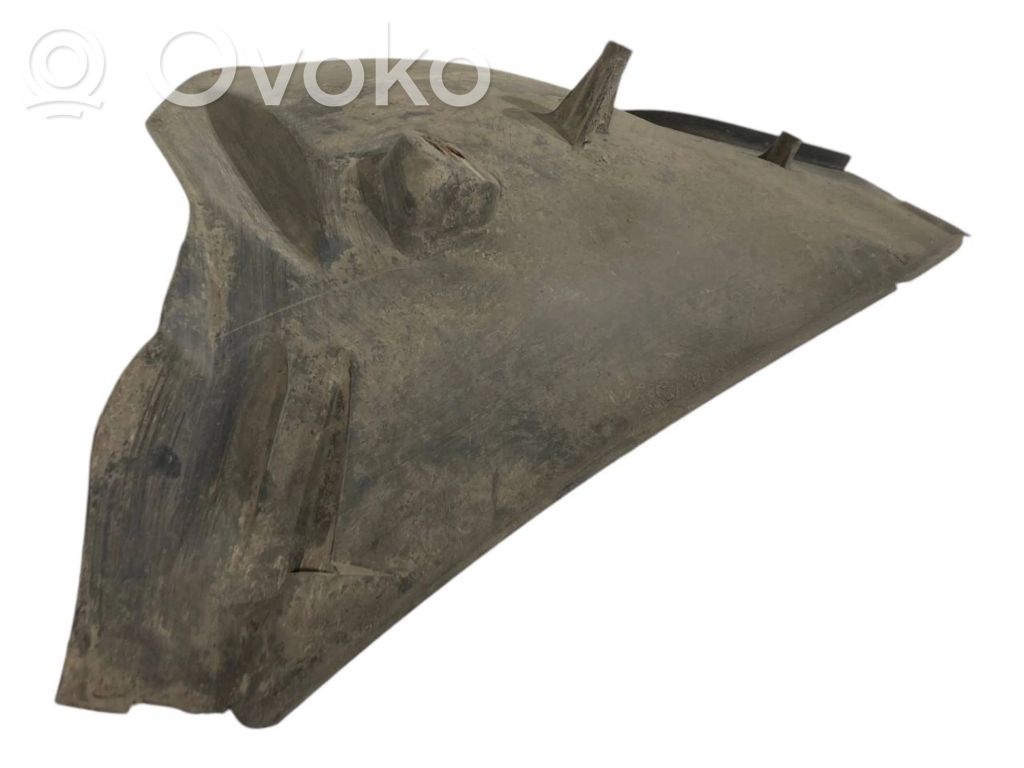 Aizmugurējais apakšspārns