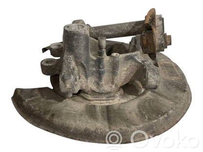 Rear wheel hub shaft joint (stupica, capfa)