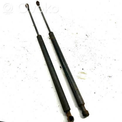 Engine hood damper
