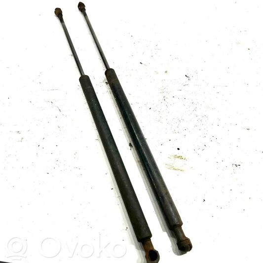 Dzinēja pārsega amortizators