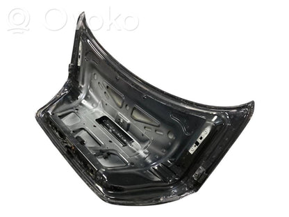 Aizmugurējais pārsegs (bagāžnieks)