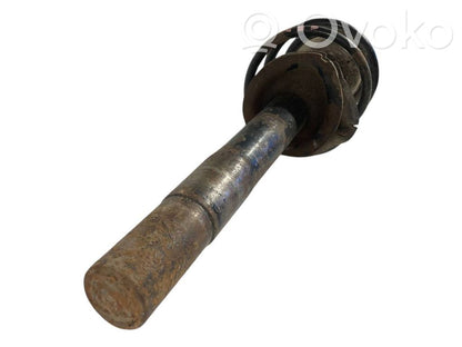 Front shock absorber with spring