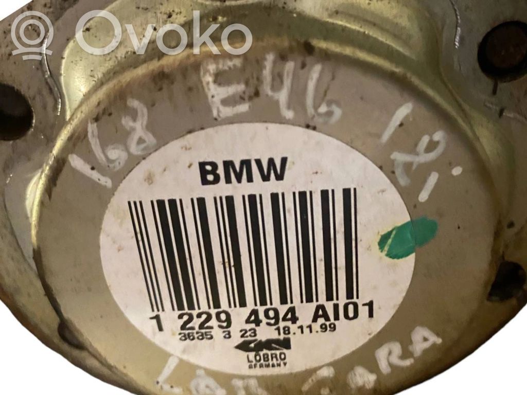 Aizmugurējā pusass