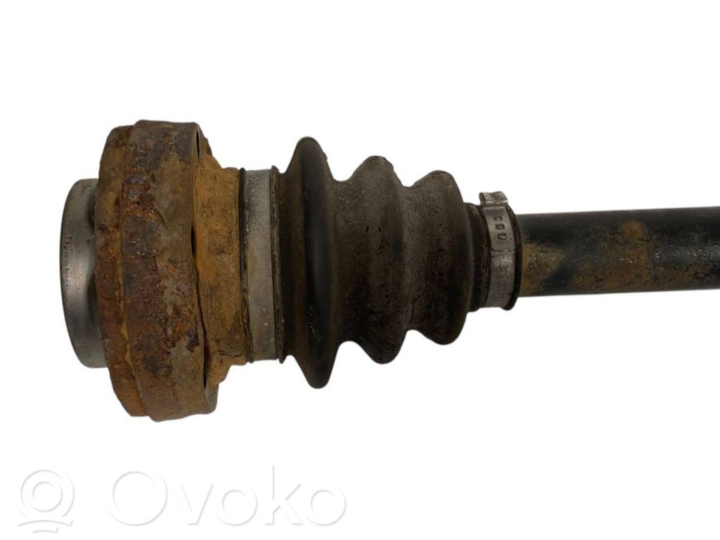 Aizmugurējā pusass