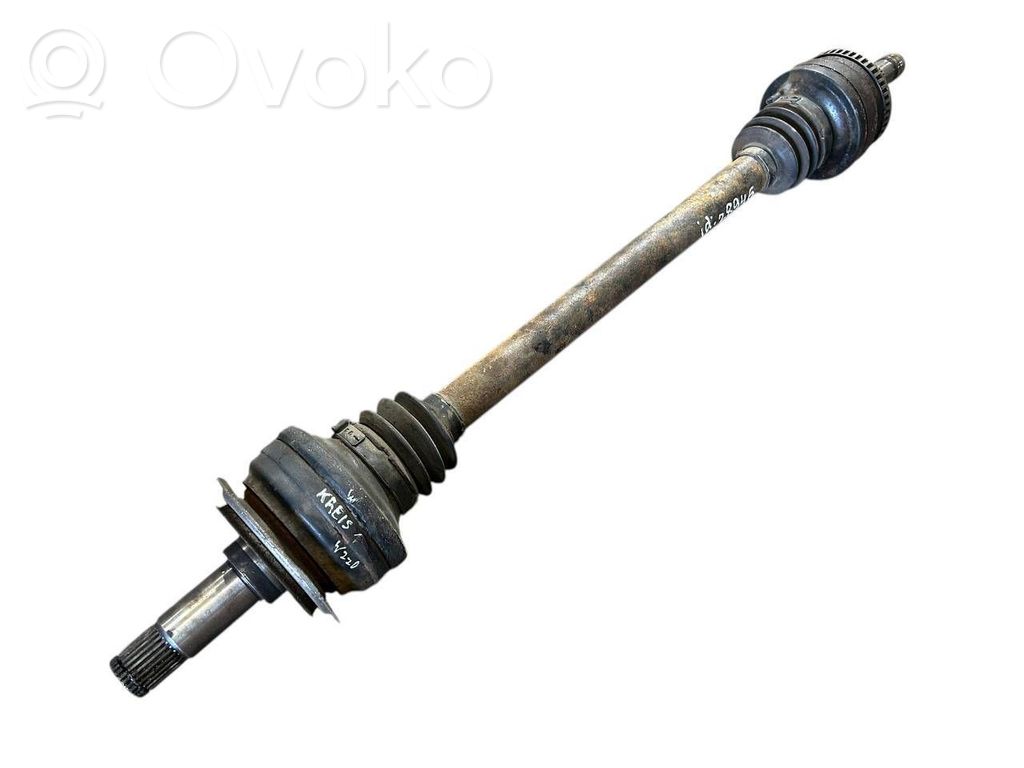 Aizmugurējā pusass