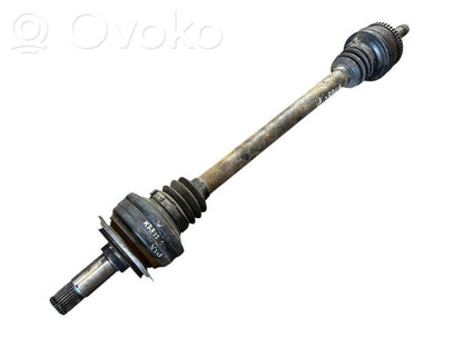 Aizmugurējā pusass