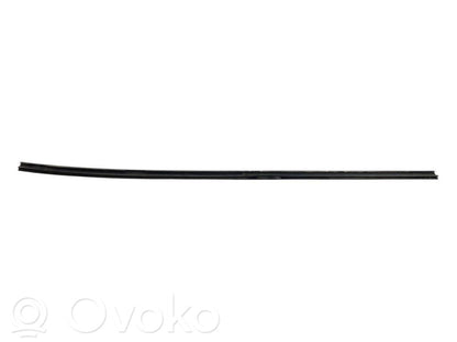 Aizmugurē durvju dekoratīvā apdare (moldings)