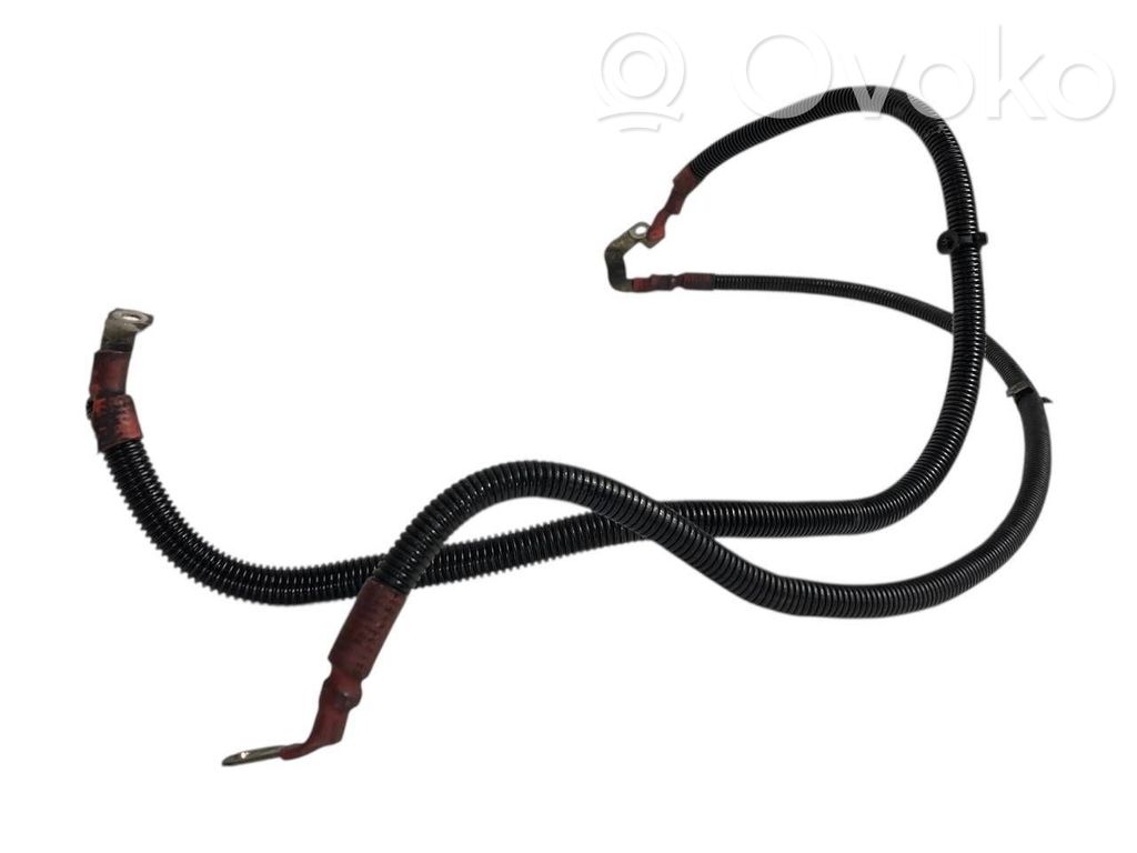 Plusa vads (akumulatora)