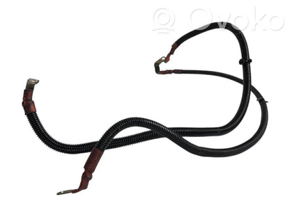 Plusa vads (akumulatora)