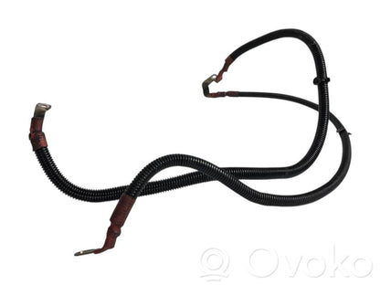 Plusa vads (akumulatora)