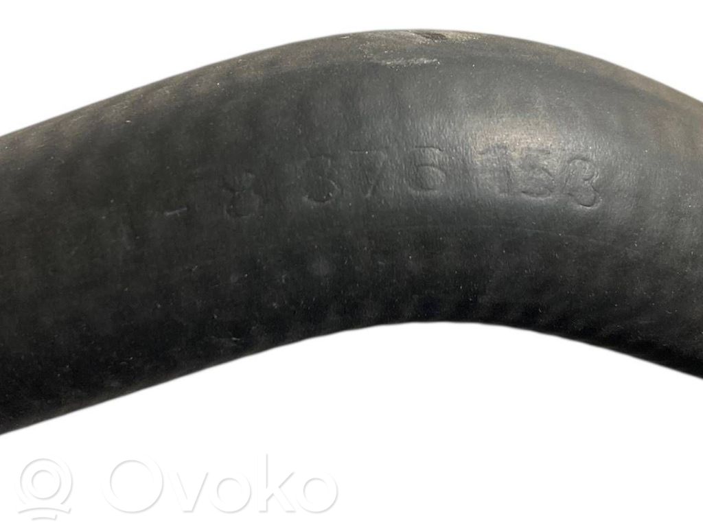 Caurulīte (-es) / šļūtene (-es)