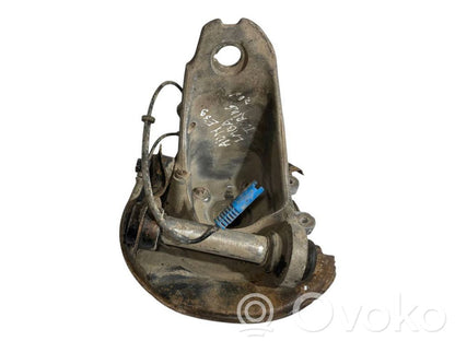 Rear wheel hub shaft joint (stupica, capfa)