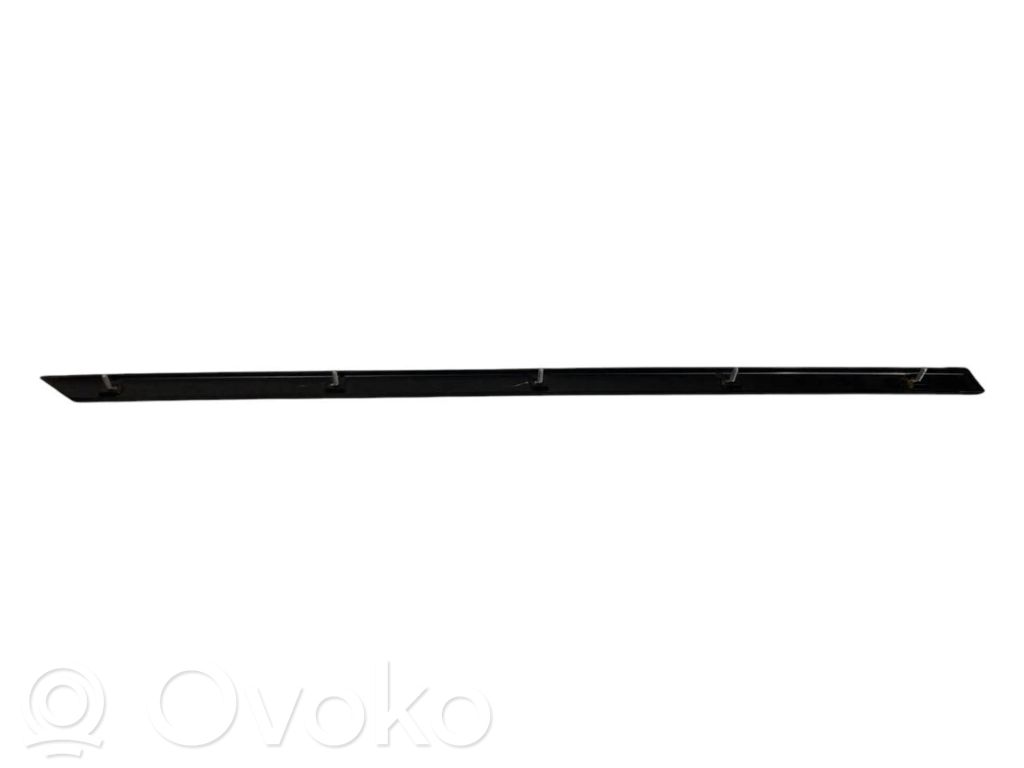 Rear door decorative trim (moulding)
