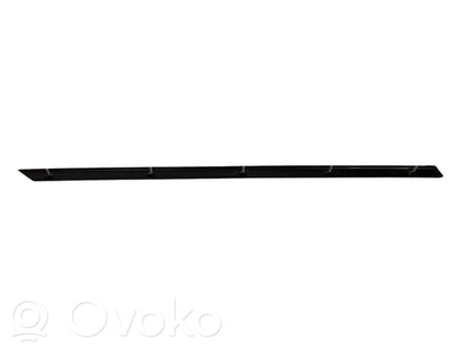 Rear door decorative trim (moulding)