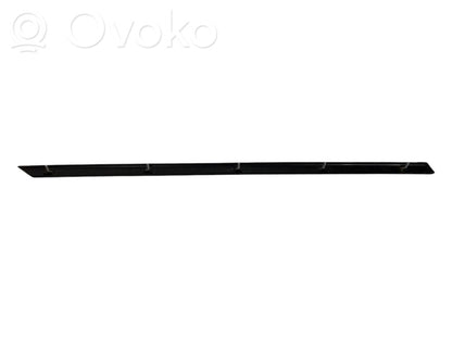 Aizmugurē durvju dekoratīvā apdare (moldings)