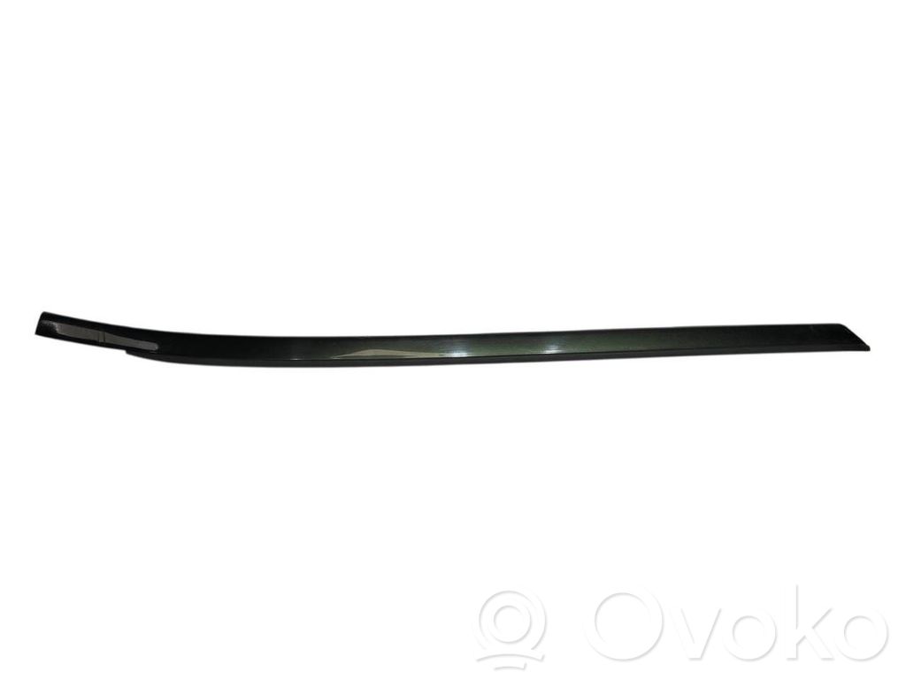 Priekšpusē durvju dekoratīvā apdare (moldings)