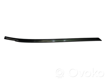 Priekšpusē durvju dekoratīvā apdare (moldings)