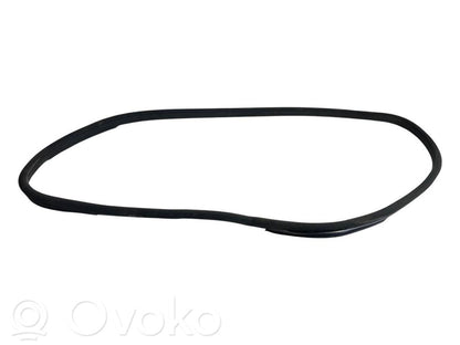 Front trim rubber (in the body)