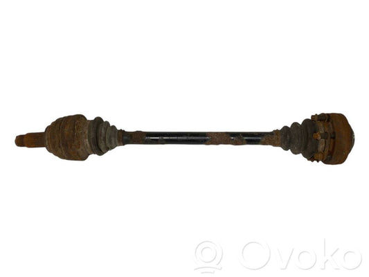 Aizmugurējā pusass