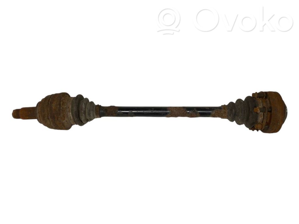 Aizmugurējā pusass