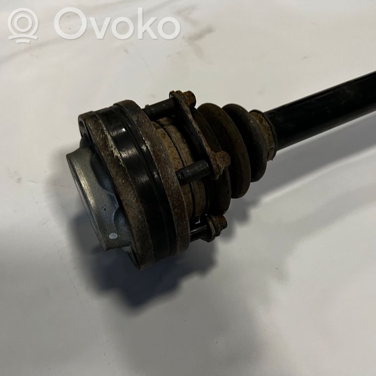 Aizmugurējā pusass