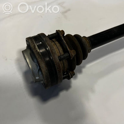 Aizmugurējā pusass