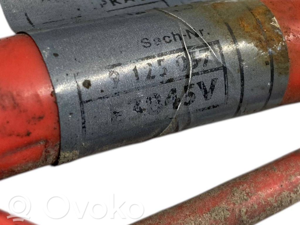 Plusa vads (akumulatora)