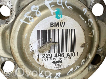 Aizmugurējā pusass