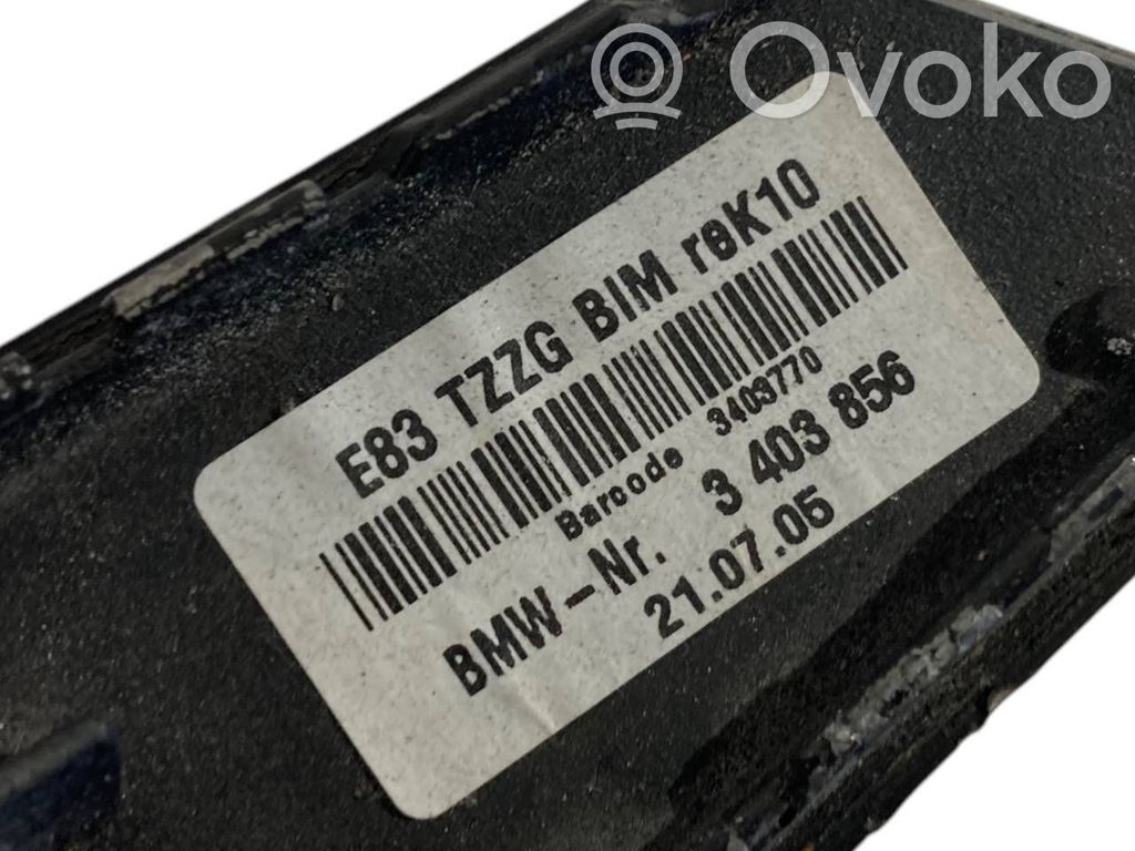 Decorative decoration