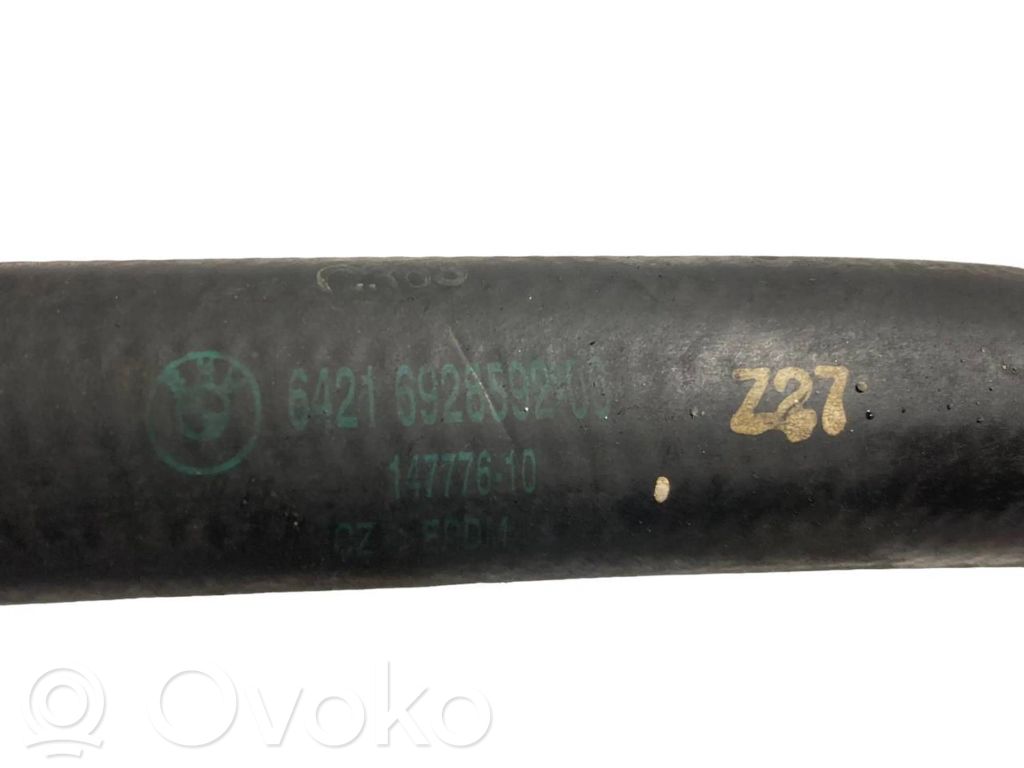 Caurulīte (-es) / šļūtene (-es)