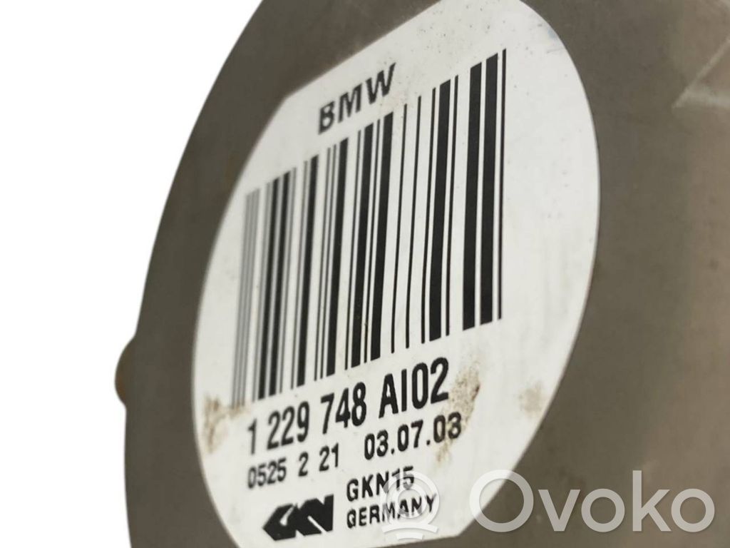 Aizmugurējā pusass