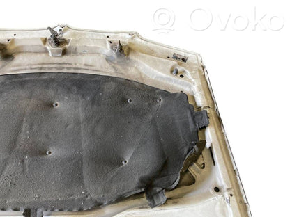 Dzinēja pārsegs (vāks)