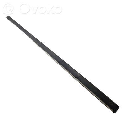 Front door decorative trim (molding)