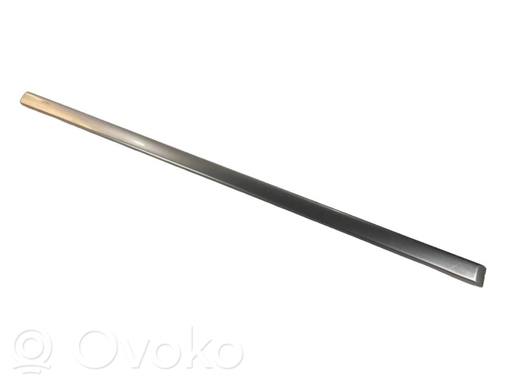 Priekšpusē durvju dekoratīvā apdare (moldings)