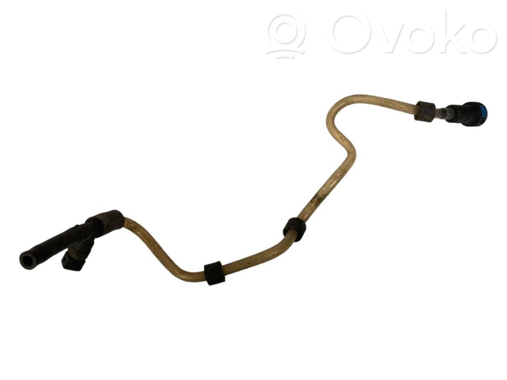 Caurule (-es) / šļūtene (-es)