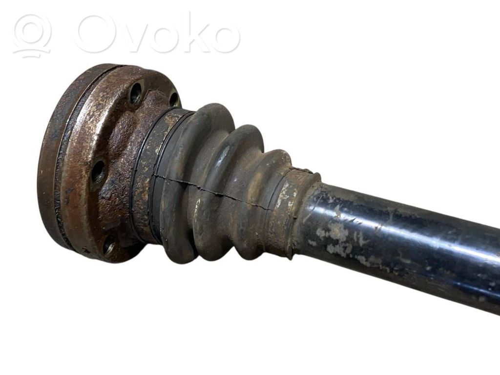 Aizmugurējā pusass