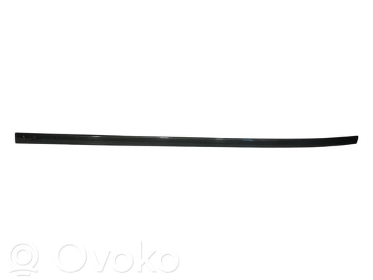 Aizmugurē durvju dekoratīvā apdare (moldings)
