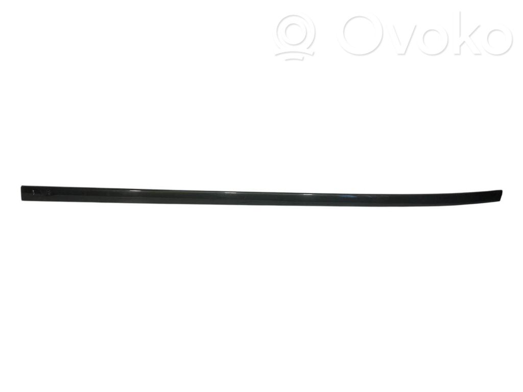 Aizmugurē durvju dekoratīvā apdare (moldings)