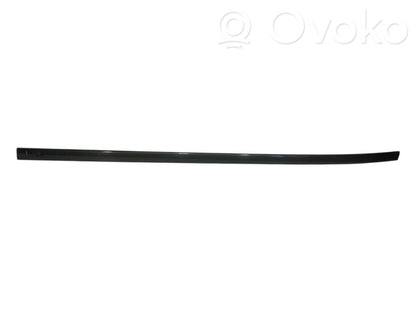 Aizmugurē durvju dekoratīvā apdare (moldings)