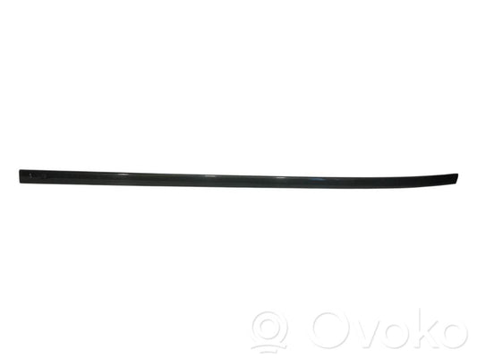 Aizmugurē durvju dekoratīvā apdare (moldings)