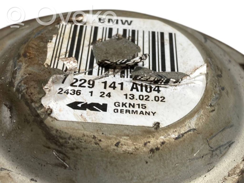 Aizmugurējā pusass