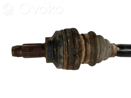 Aizmugurējā pusass