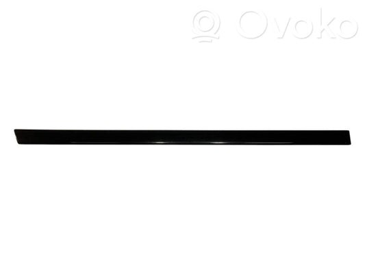 Aizmugurē durvju dekoratīvā apdare (moldings)